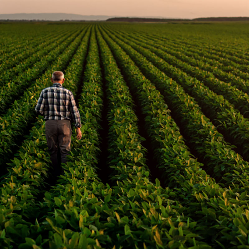 agriculteur-expertise-champ-agrocoherence.j Agriculteur dans son champ