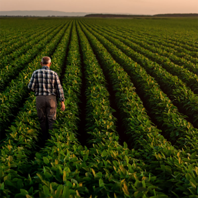 Agriculteur dans son champ