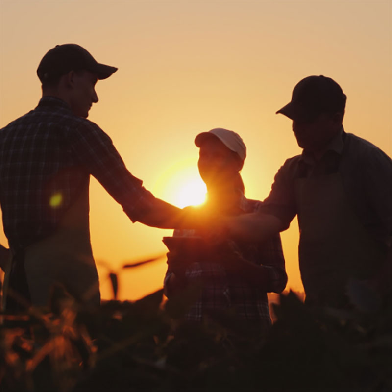 partenariat-agricole-coucher-soleil-agrocoherence.jpg Groupe agriculteur se serrent la main