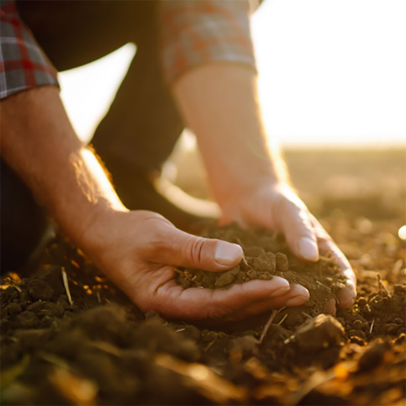 Agriculteur main dans la terre