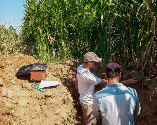 Suivi d'un champ agricole après plan agronomique